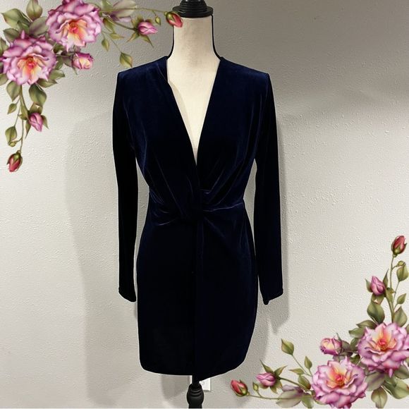 blooms in the city Dresses & Skirts - Deep v-neck velvet navy long sleeve dress